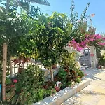 Vila Ester